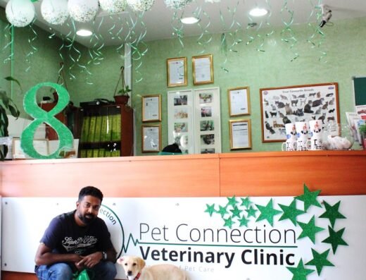 Pet Connection Veterinary Clinic Dubai Al Barsha 1
