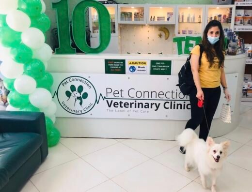 Pet Connection Veterinary Clinic Dubai Al Barsha 1