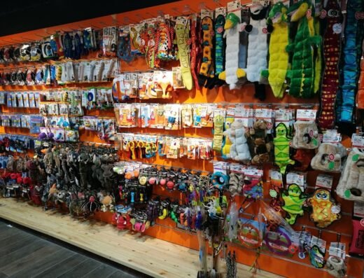 Pet Corner Al Barsha Pet Shop