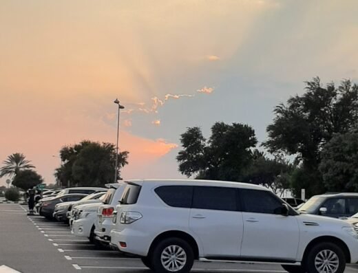 AL BARSHA GOVERNMENT SCHOOL